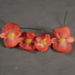 Orange bicolor B101.23