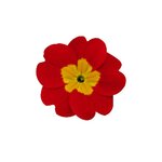 Bright Red B21.03 