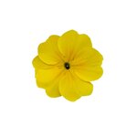 Yellow B21.08