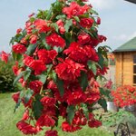 Rose B3.05 нет в наличии