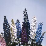Crystal Mix B 27.11 нет в наличии