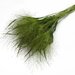 Просо декоративное Grass Panicum Capillare