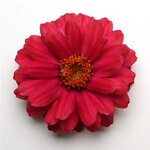 Cherry P71-02